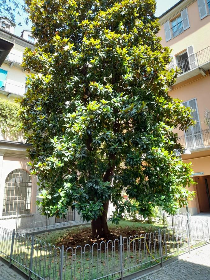 Central Garibaldi Loft, A Piedi A Palazzo Reale Τορίνο Εξωτερικό φωτογραφία